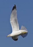 20130217_4716.jpg