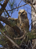 20130303_6780.jpg