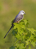 20130425_0070.jpg