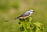 20130425_0080.jpg