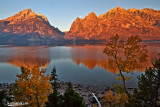 Jenny Lake Sunrise
