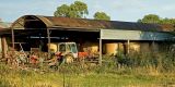 Tractor and bales, Muchelney Ham, Somerset