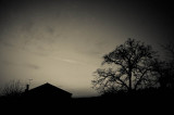 The House of the Ghost