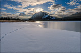 Icewalk