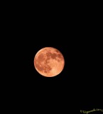 102612 Moon