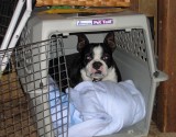 Winnie in his house