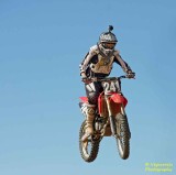 Honda-241.jpg