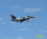 F-16 Agg