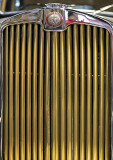 Golden grille