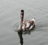 DSC00904.JPG