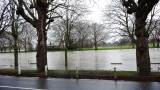 DSC00905.JPG