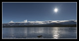 Loch Morlich Ice