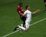 The Swans Were as Graceful As Ballet Dancers