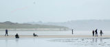 Beach Kite