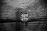 The project Aquatic-the portraits.