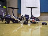  Mitchell 308 and 408 Reels