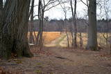 View down the Meadow Trail