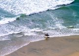 Man and Surf