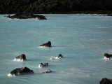 Blue Lagoon white and black islands 
