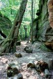 Nelson Ledges 89.jpg
