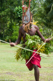 Traditional dance performance