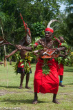 Traditional dance performance 