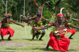 Traditional dance performance