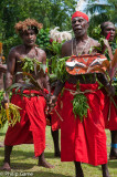 Traditional dance performance