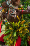 Traditional dance performance