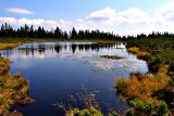 Ribnica lake  jewel of nature  dsc_0233ypb