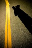 August 29th - Middle Of The Road