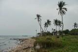 North coast near Kerrimalai Spring