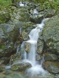 Nevis Stream
