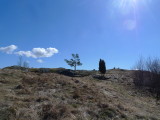 20130428