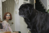 Hello...  Id like you to meet my friend Lucy.