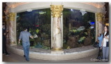 Alternate view of the circular aquarium.