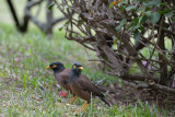 20121005 - Tahiti - 0184.jpg