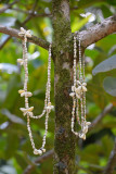 20121005 - Tahiti - 0235.jpg