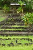 20121005 - Tahiti - 0280.jpg