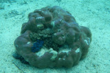 20121008 - Tahaa (AW) - 0040.jpg