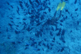 20121009 - Bora Bora (AW) - 0028.jpg