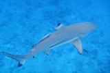 20121009 - Bora Bora (AW) - 0048.jpg