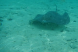 20121009 - Bora Bora (AW) - 0075.jpg