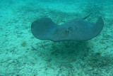 20121009 - Bora Bora (AW) - 0098.jpg