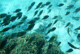 20121009 - Bora Bora (AW) - 0130.jpg