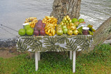 20121011 - Moorea (AW) - 0089.jpg