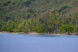 20121012 - Moorea - 0129.jpg