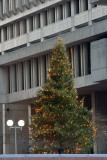 20121215 - Boston Photo Walk - 250.jpg