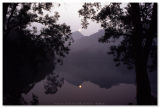 Shing Mun Reservoir  - 城門水塘