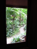 Jim Thompson House garden